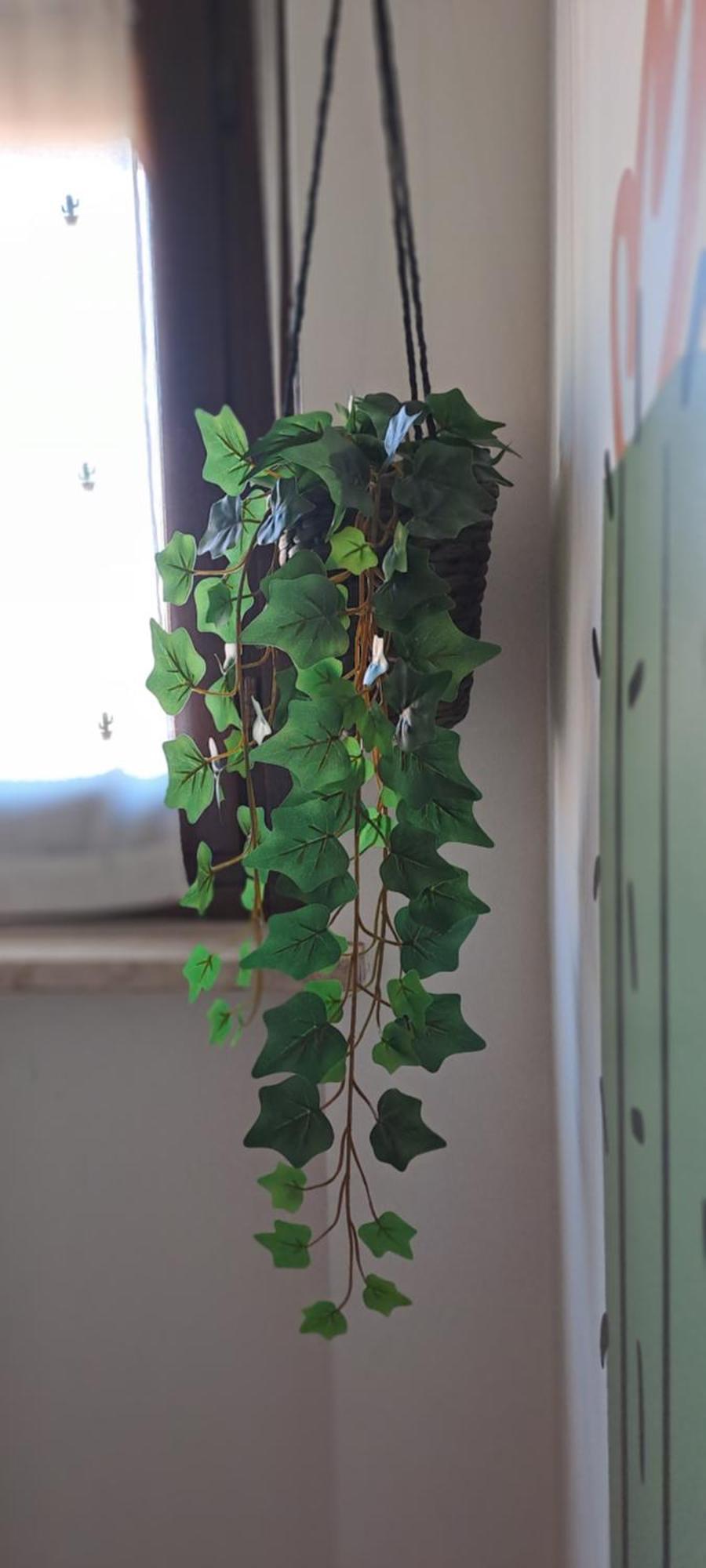 Apartmán La Mia Mansardina Collegno Exteriér fotografie